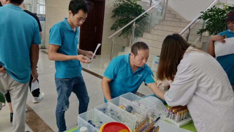 团检报告查询规格是什么